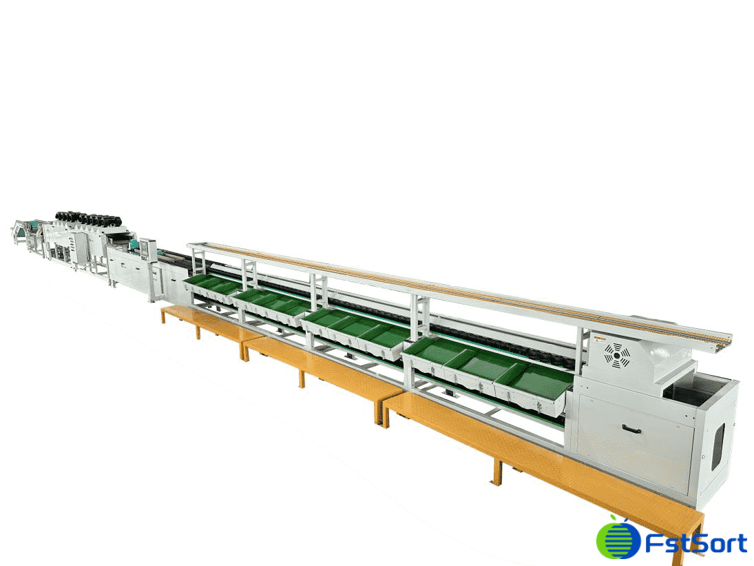 fruit and vegetable cleaning and sorting line.png fruit and vegetable cleaning and sorting line.png